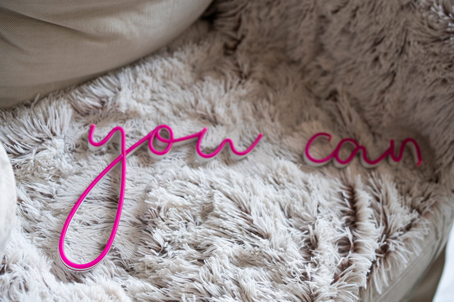 "You can"
