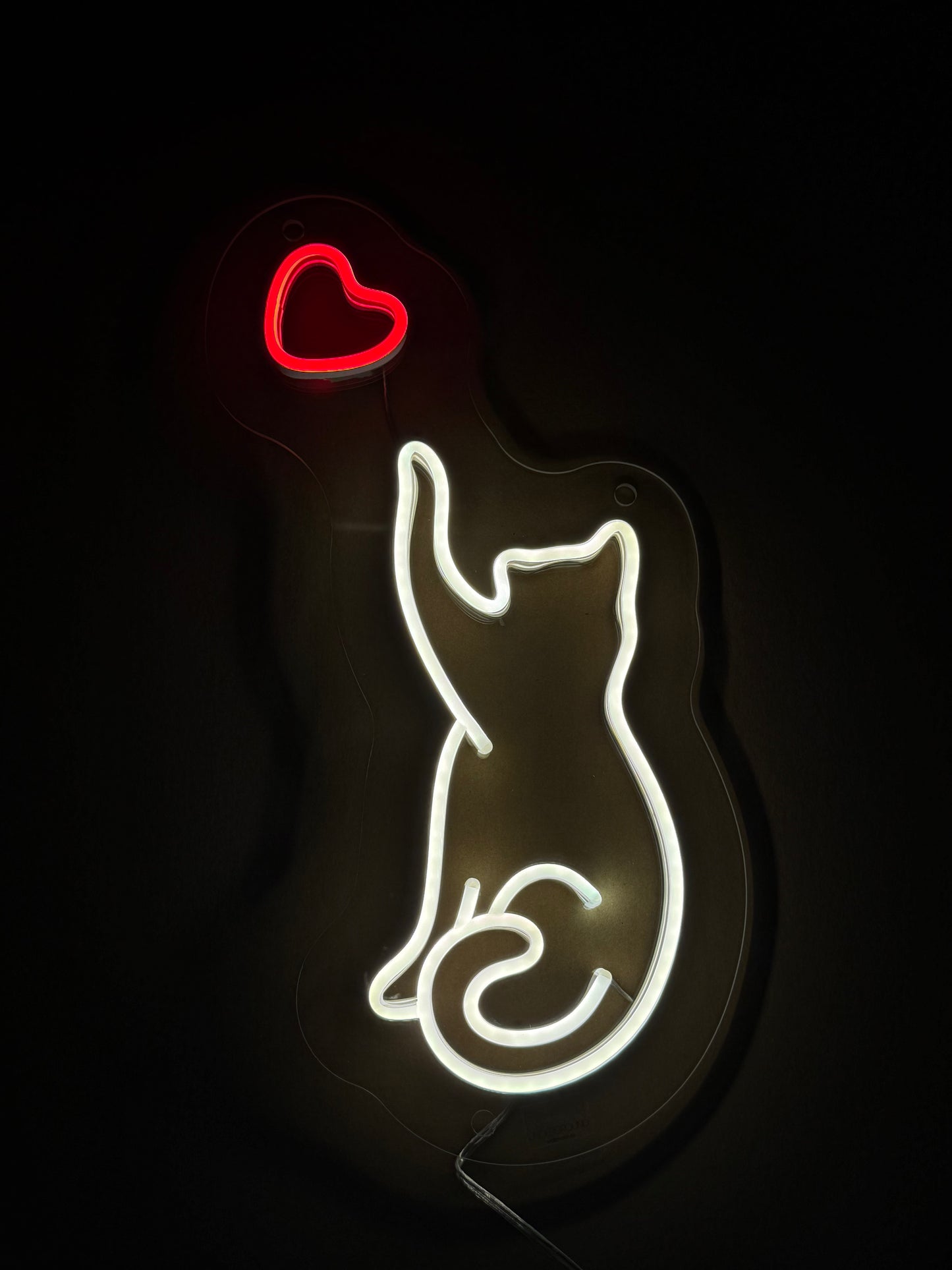 Котик с сердечком