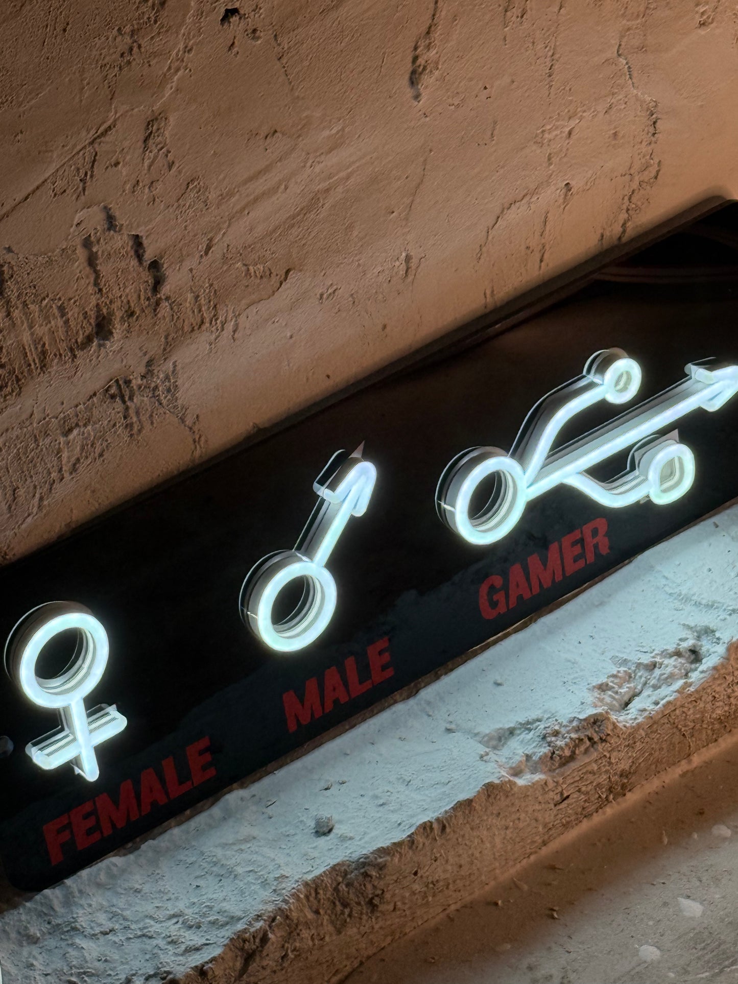 "Male Female Gamer"