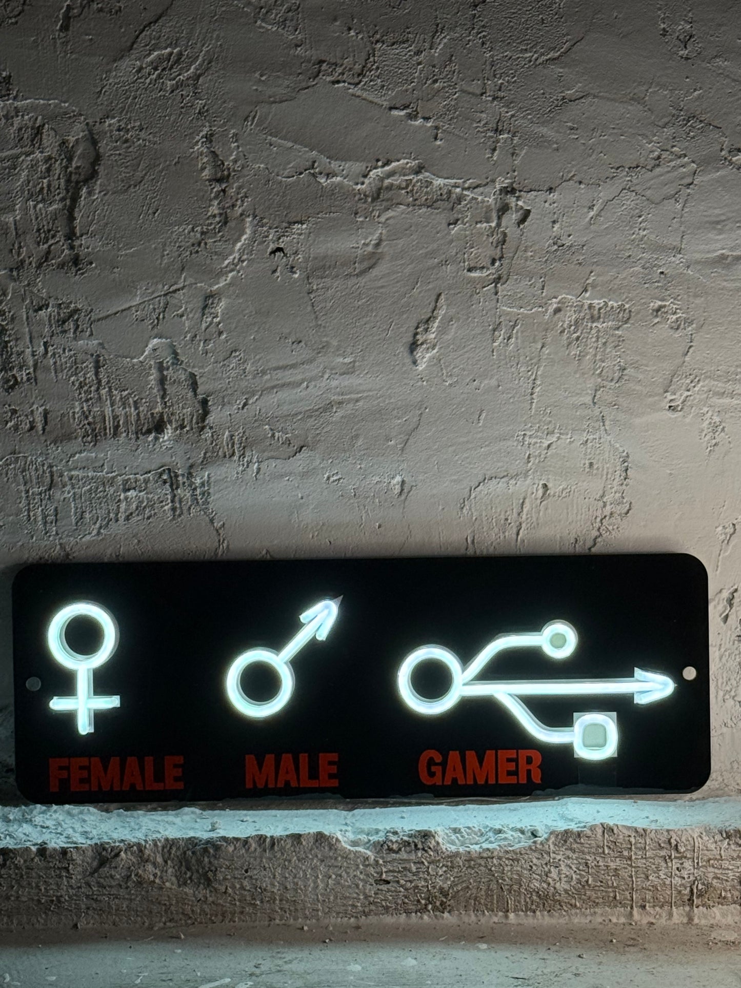 "Male Female Gamer"