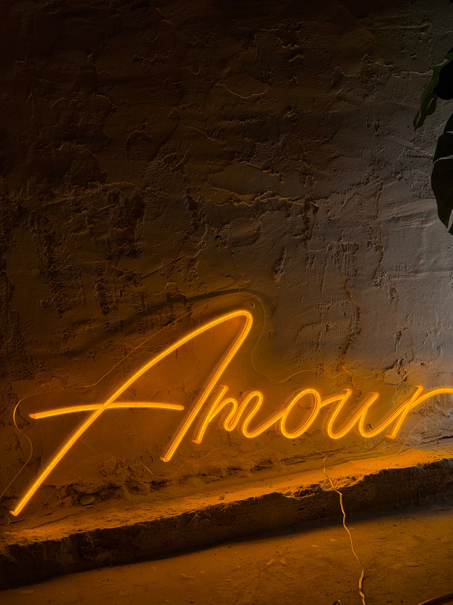 "Amour"