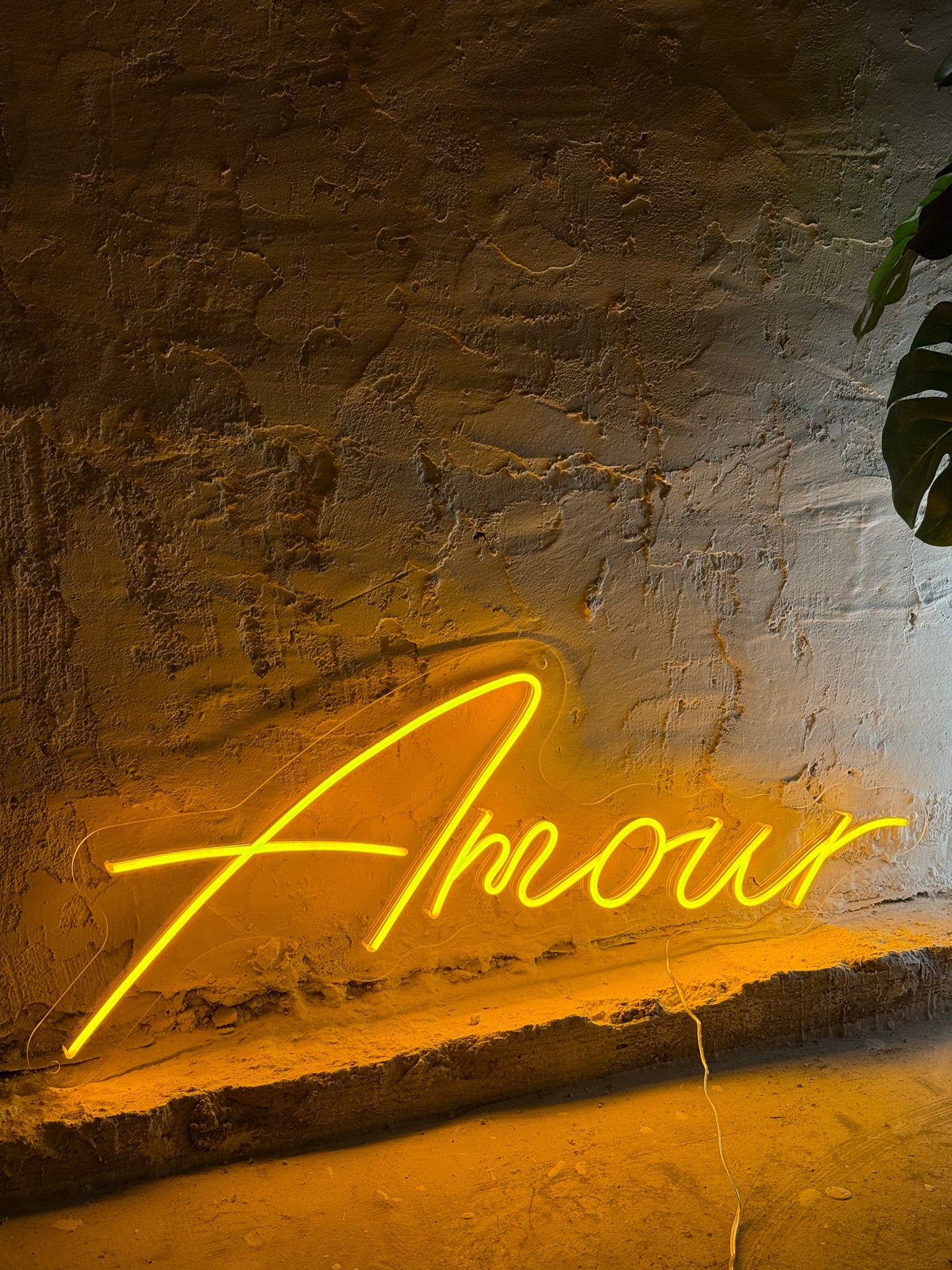 "Amour"