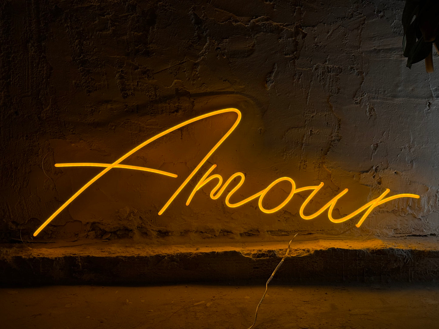 "Amour"
