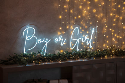 "Boy or Girl" Neon LED Sign