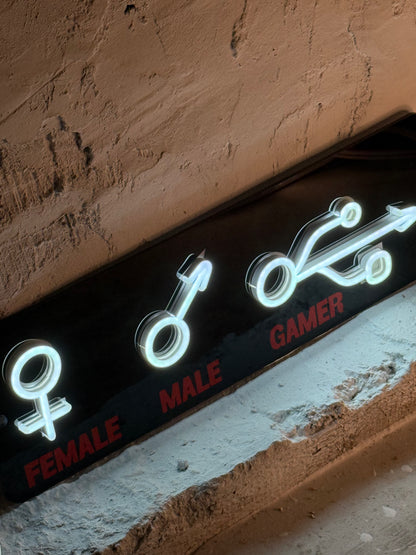 "Male Female Gamer"