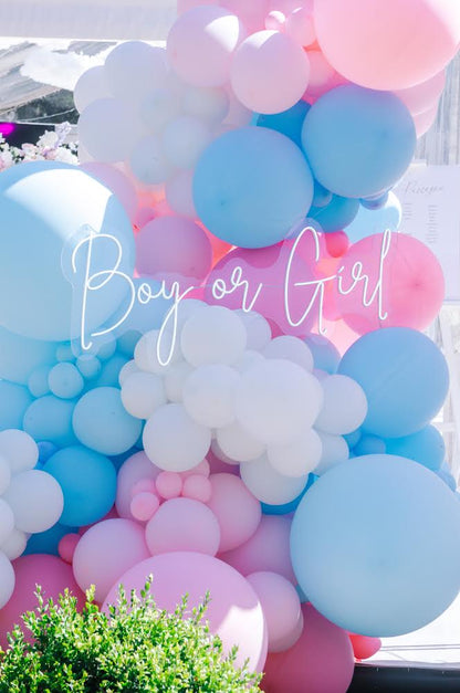 "Boy or Girl" Neon LED Sign