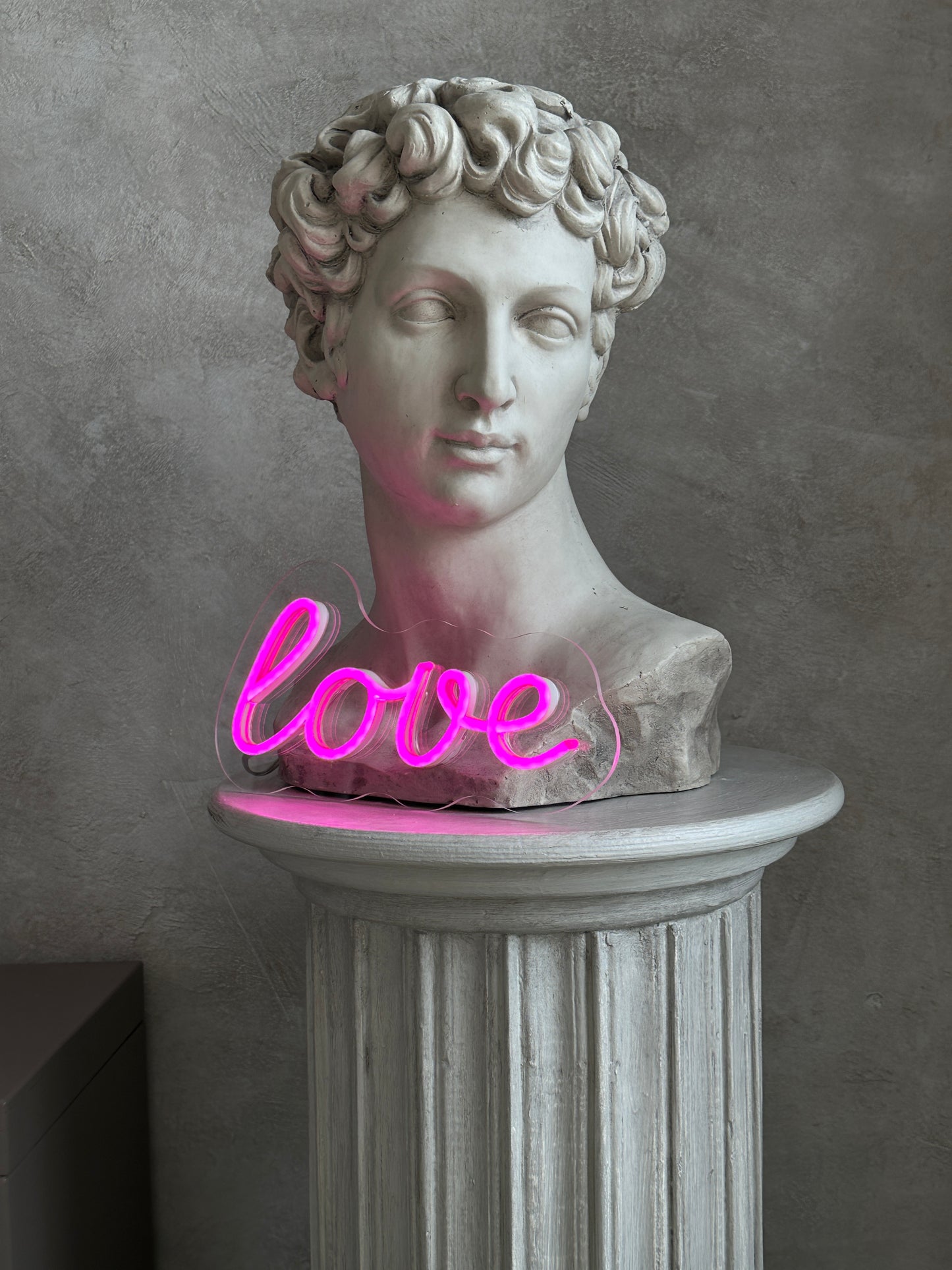 "Love 2" Neon LED Sign