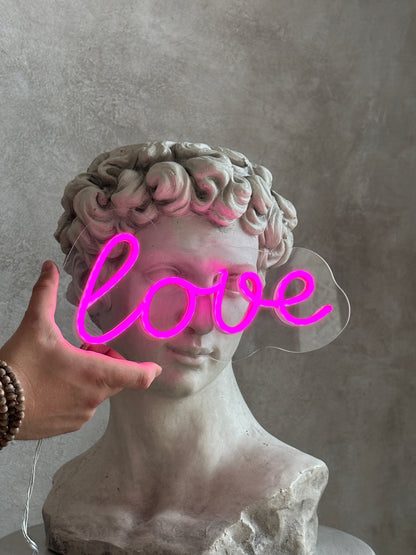 "Love 2" Neon LED Sign