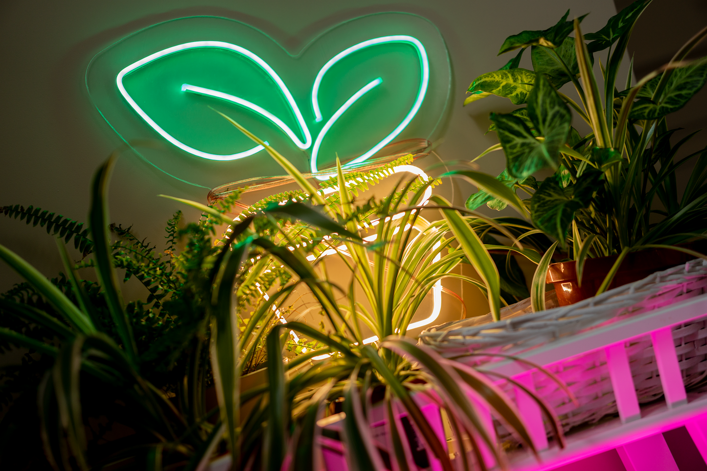 "Plant" Neon LED Sign